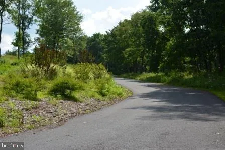 a view of a yard with plants and trees