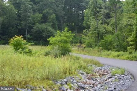 a view of green field with trees in the background