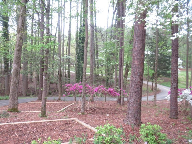 12200 Old Creedmoor Road Raleigh, NC 27613 - Photo 3 of 25 Private and peaceful view from front door. View from Front Door