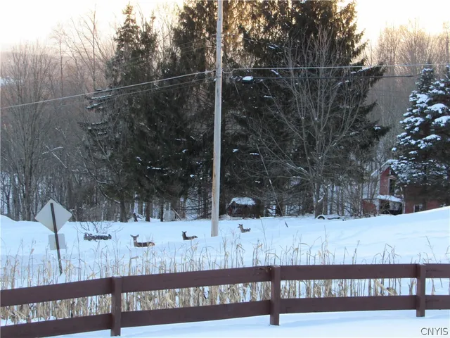 $385,000 | 9208 Mullen Hill Road, Western, NY 13303