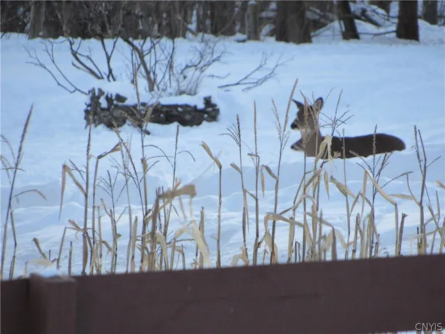 $385,000 | 9208 Mullen Hill Road, Western, NY 13303