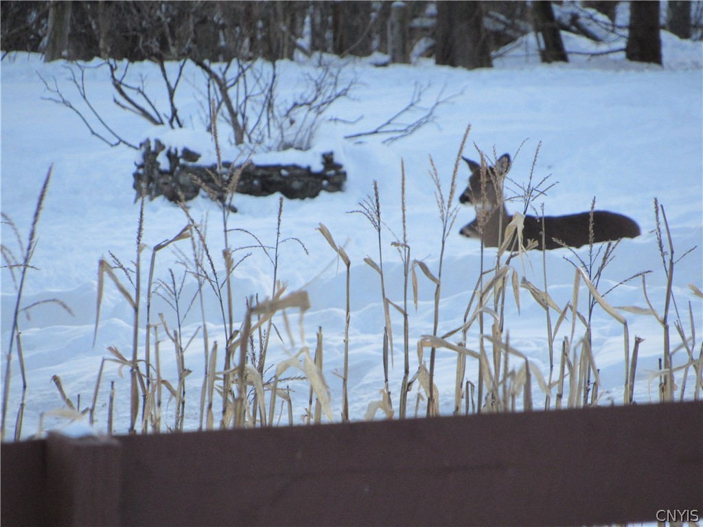 9208 Mullen Hill Road Western, NY 13303 - Photo 49 of 50