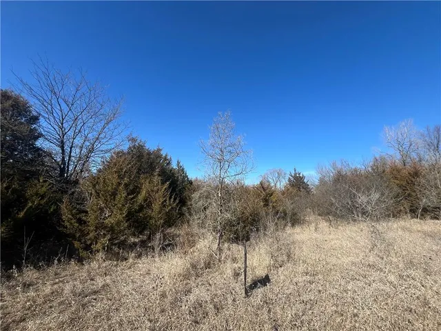 $10,000 | 14842 Crystal Drive, Excelsior Springs, MO 64024