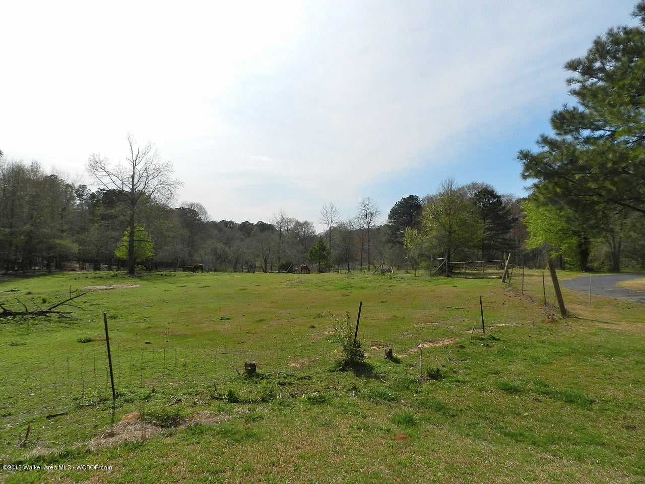 1355 Boldo Road Jasper, AL 35504 - Photo 20 of 20 Gallery Image 20