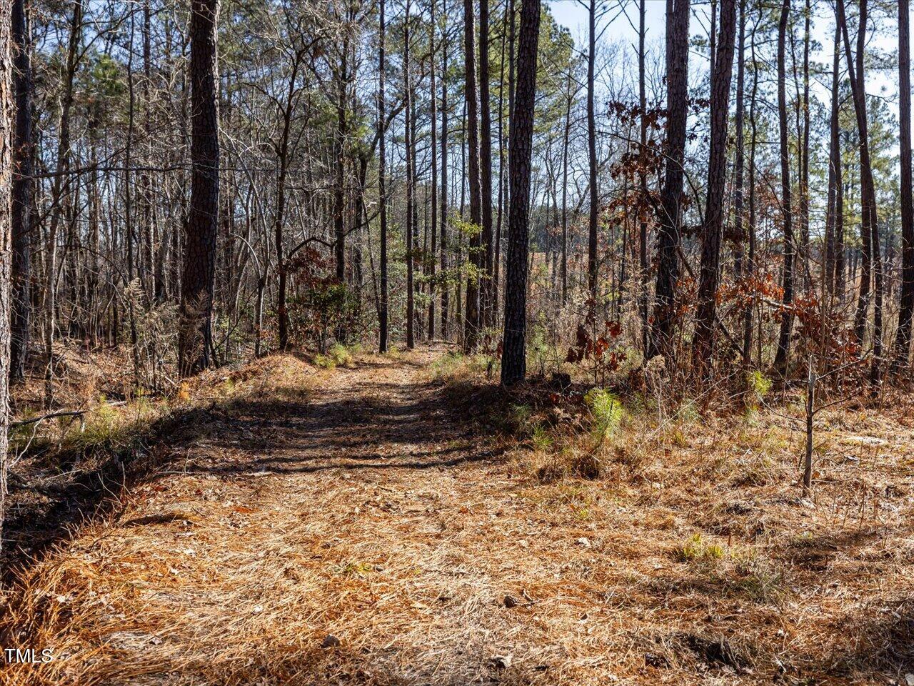 2 Robedo Rd Mount Mount Gilead, NC 27306 - Photo 25 of 28 29-029-Tract2-RobedoRd-MontgomeryCounty-
