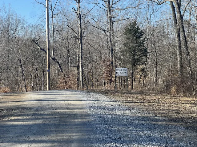 a view of a yard with large trees