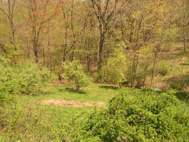 3144 Ridge Road Ford City, PA 16226 - Photo 12 of 14 Land/Lot.