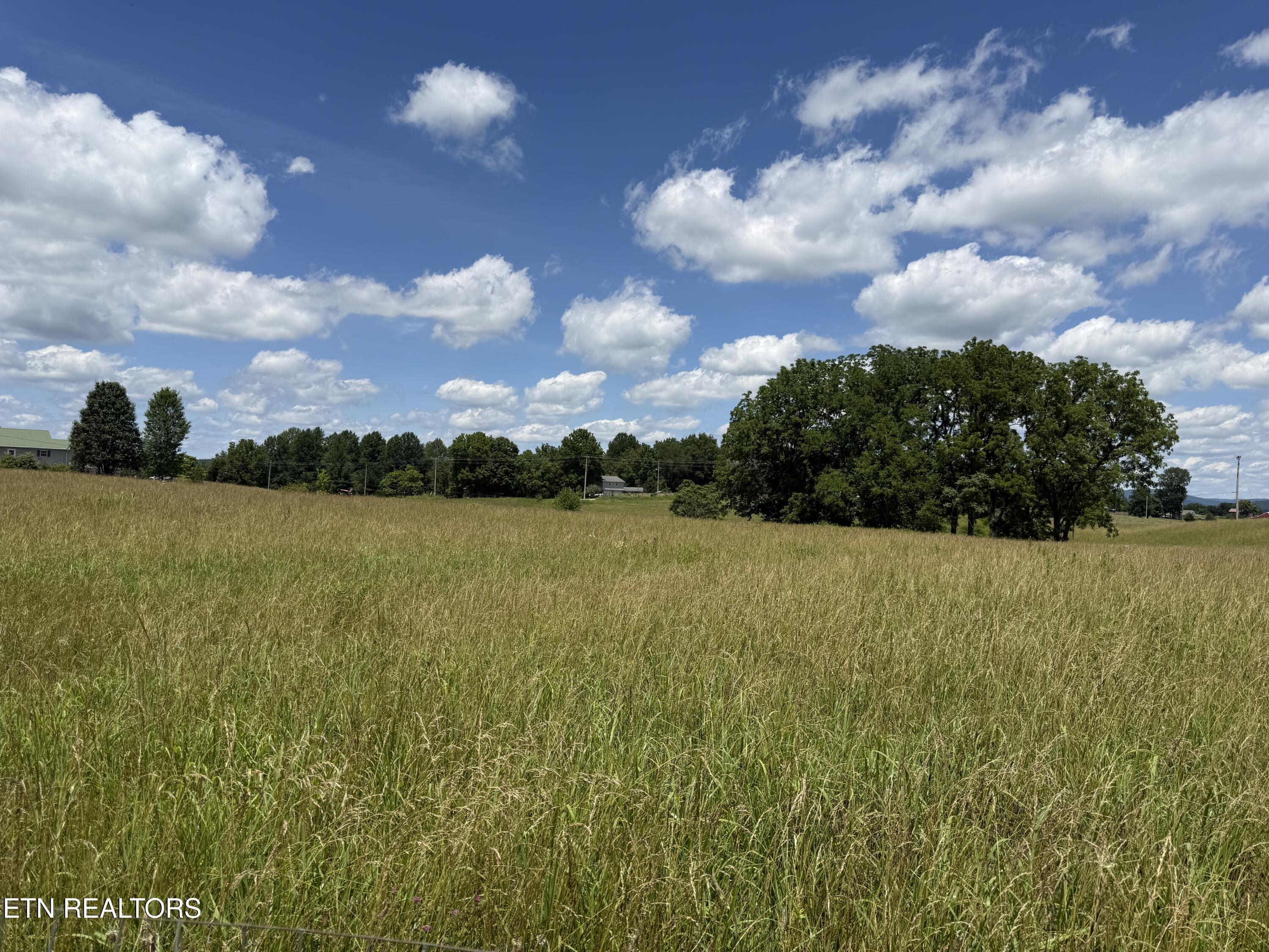 Dogwalk Road Monroe, TN 38573 - Photo 9 of 30 DW 12