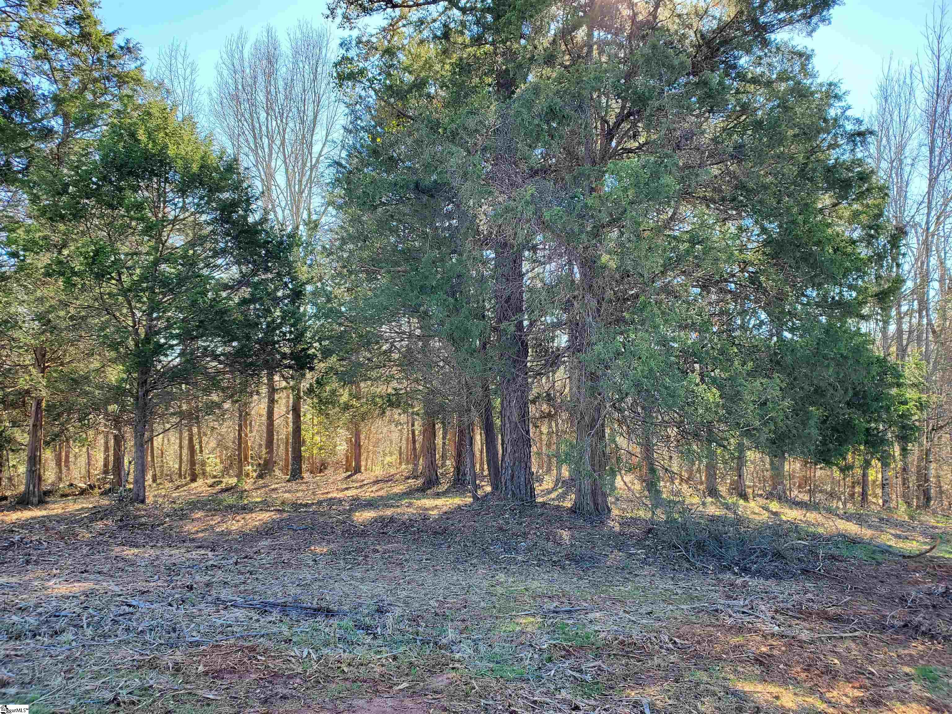 6 Ritchie Road, Unit LOT 6PENNINGTON FARMS) Fountain Inn, SC 29644 - Photo 13 of 25