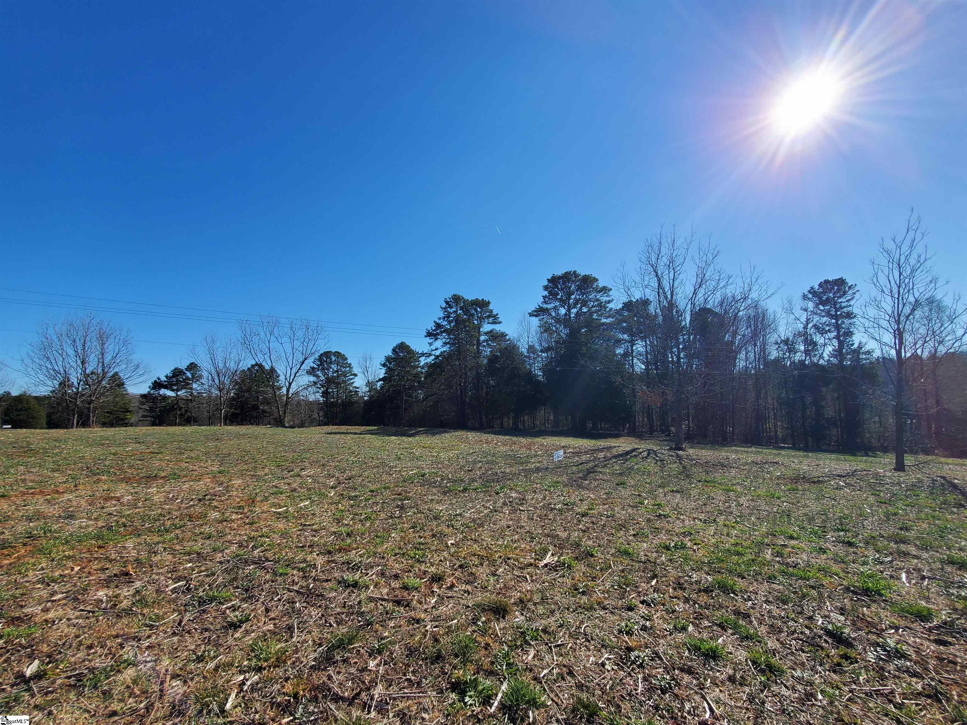 6 Ritchie Road, Unit LOT 6PENNINGTON FARMS) Fountain Inn, SC 29644 - Photo 4 of 25