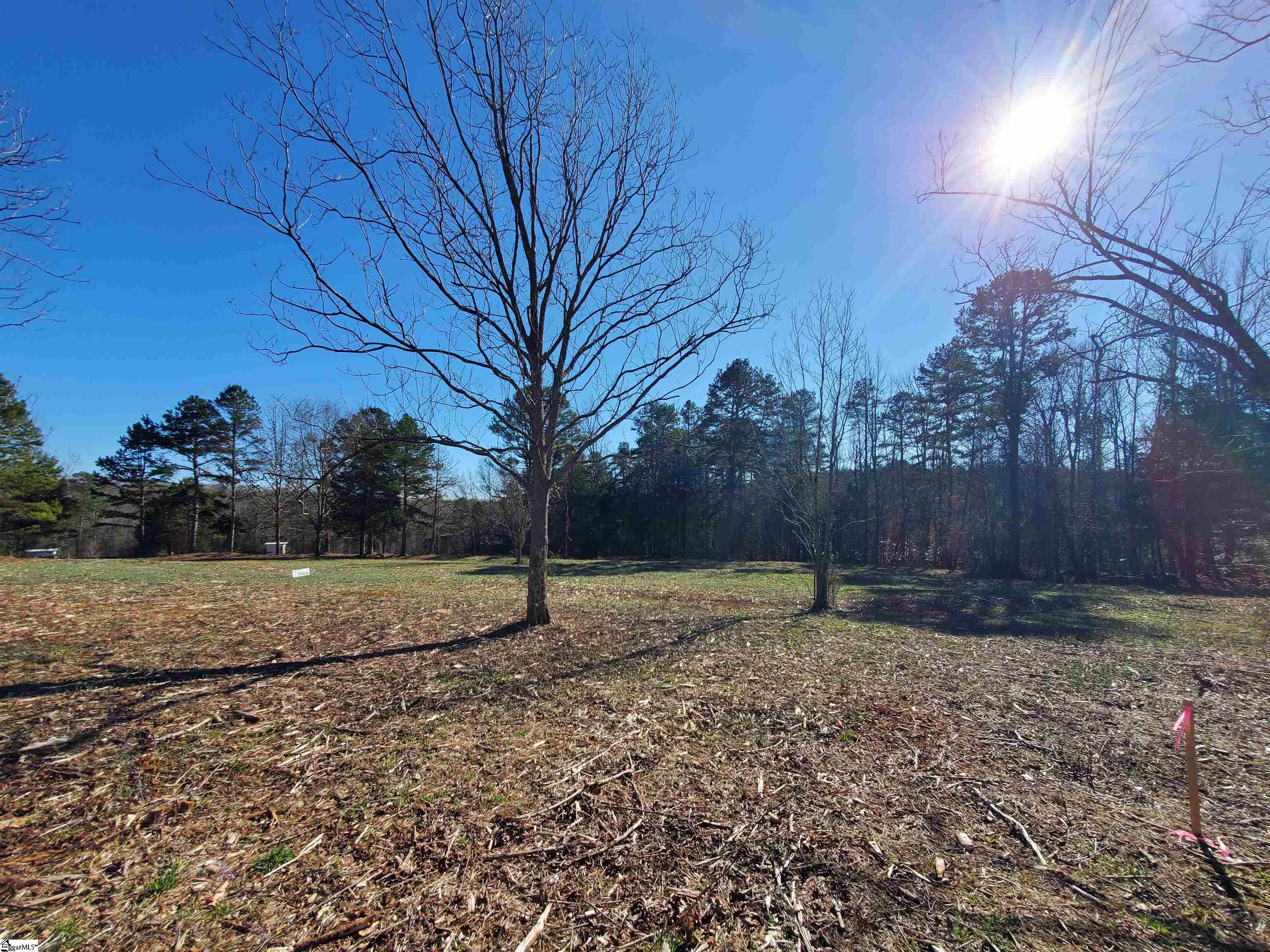 6 Ritchie Road, Unit LOT 6PENNINGTON FARMS) Fountain Inn, SC 29644 - Photo 5 of 25