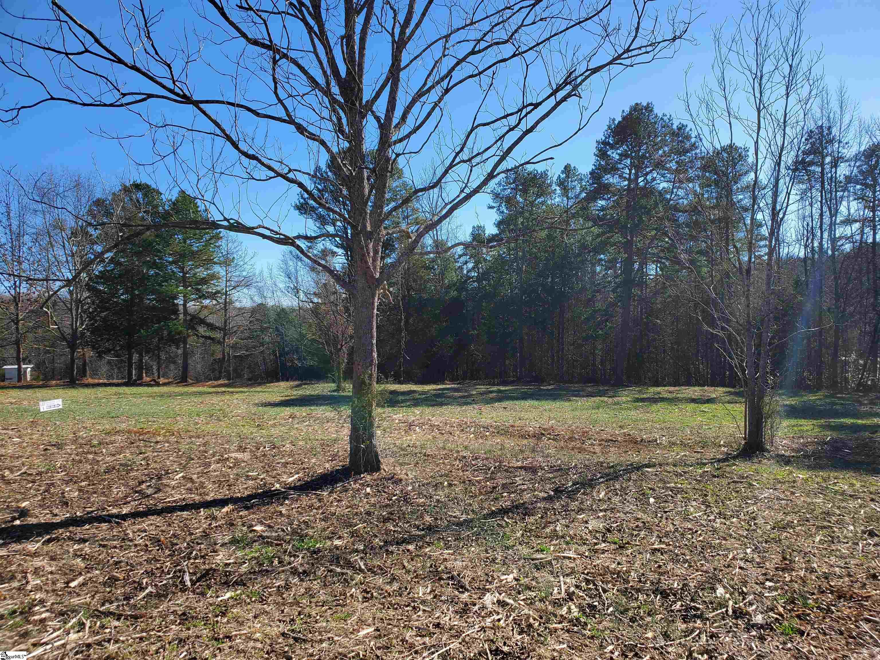 6 Ritchie Road, Unit LOT 6PENNINGTON FARMS) Fountain Inn, SC 29644 - Photo 6 of 25