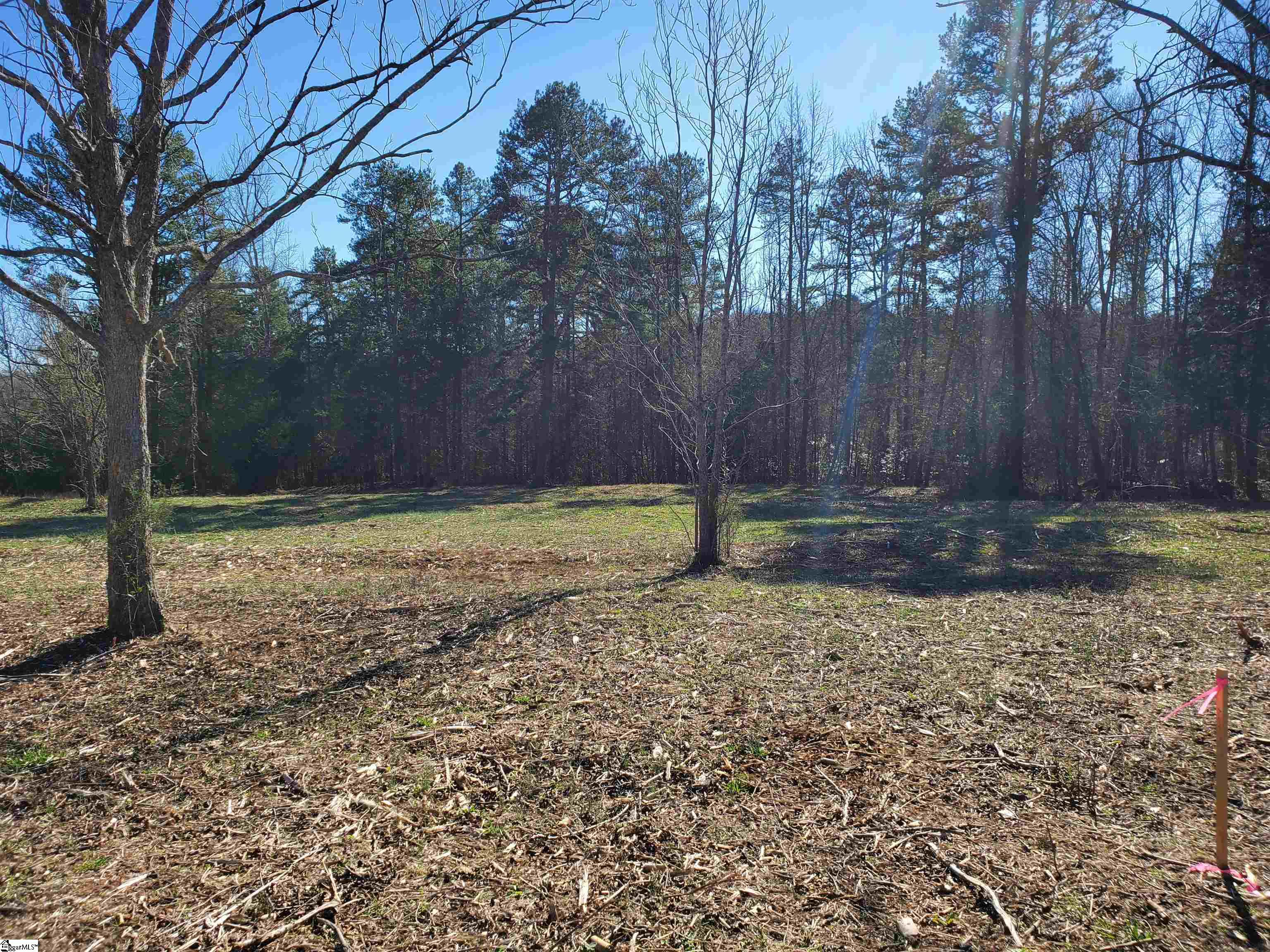 6 Ritchie Road, Unit LOT 6PENNINGTON FARMS) Fountain Inn, SC 29644 - Photo 7 of 25