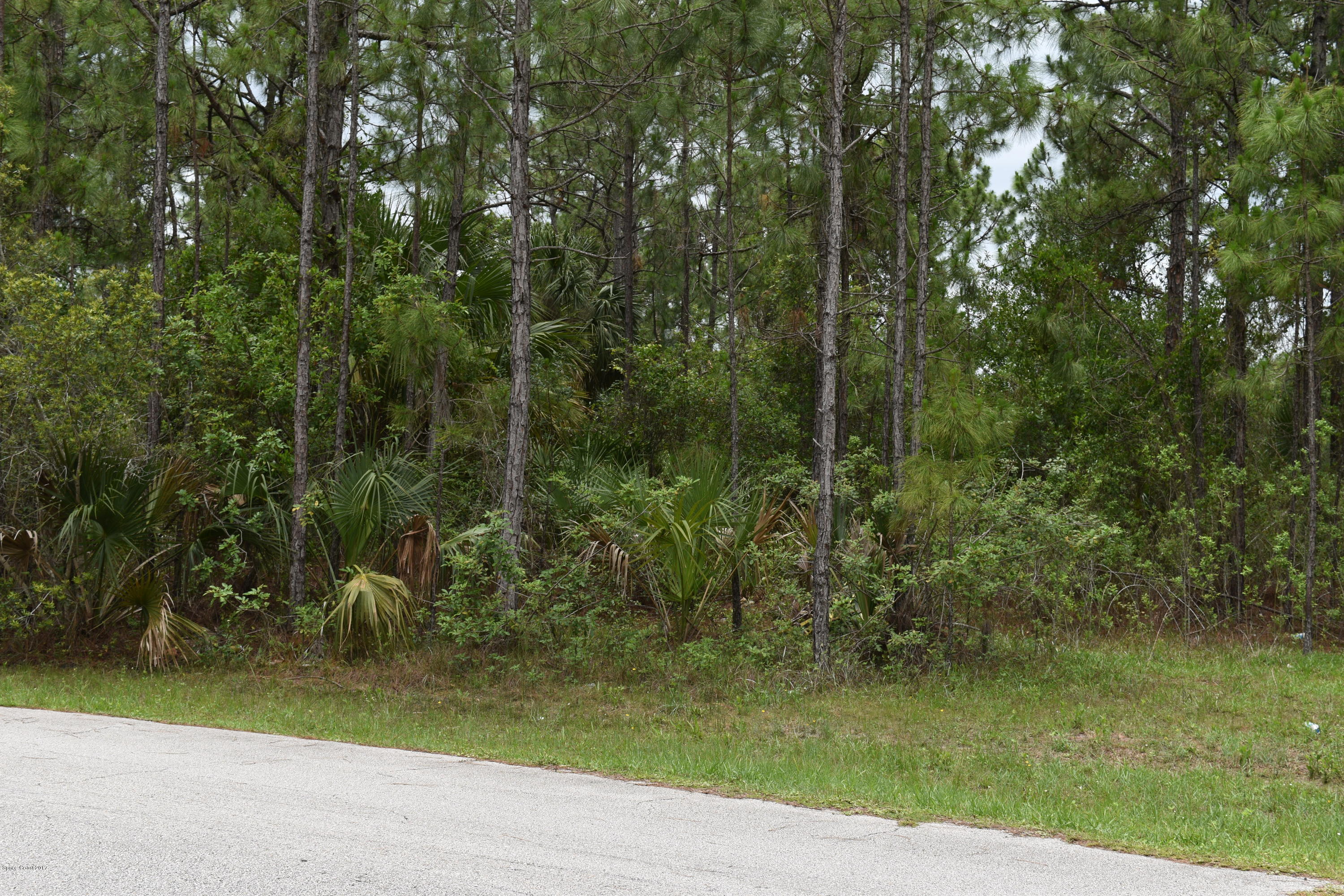 966 Carver Road Southeast Palm Bay, FL 32909 - Photo 1 of 6 Wooden lot