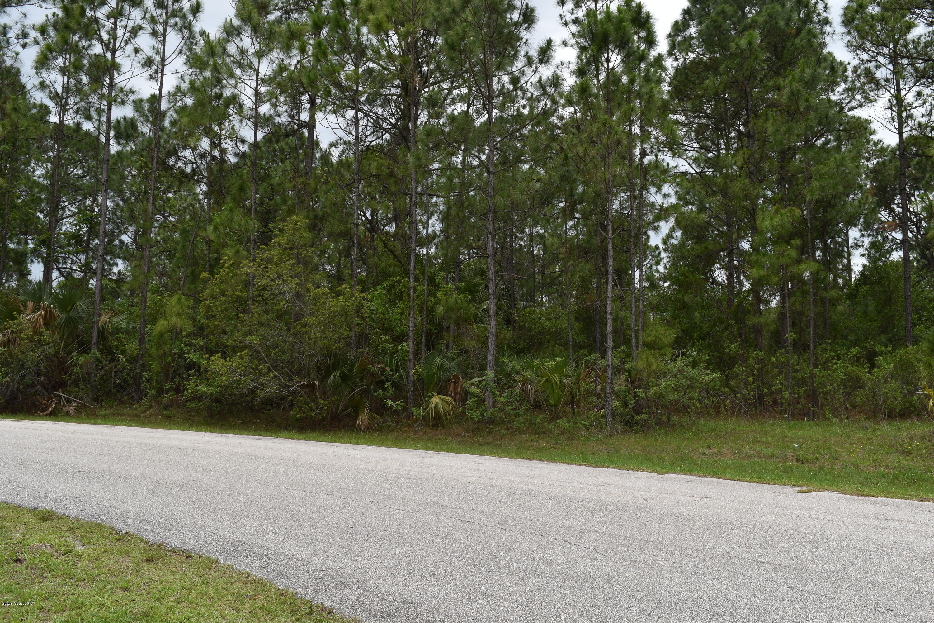 966 Carver Road Southeast Palm Bay, FL 32909 - Photo 2 of 6 DSC_0238