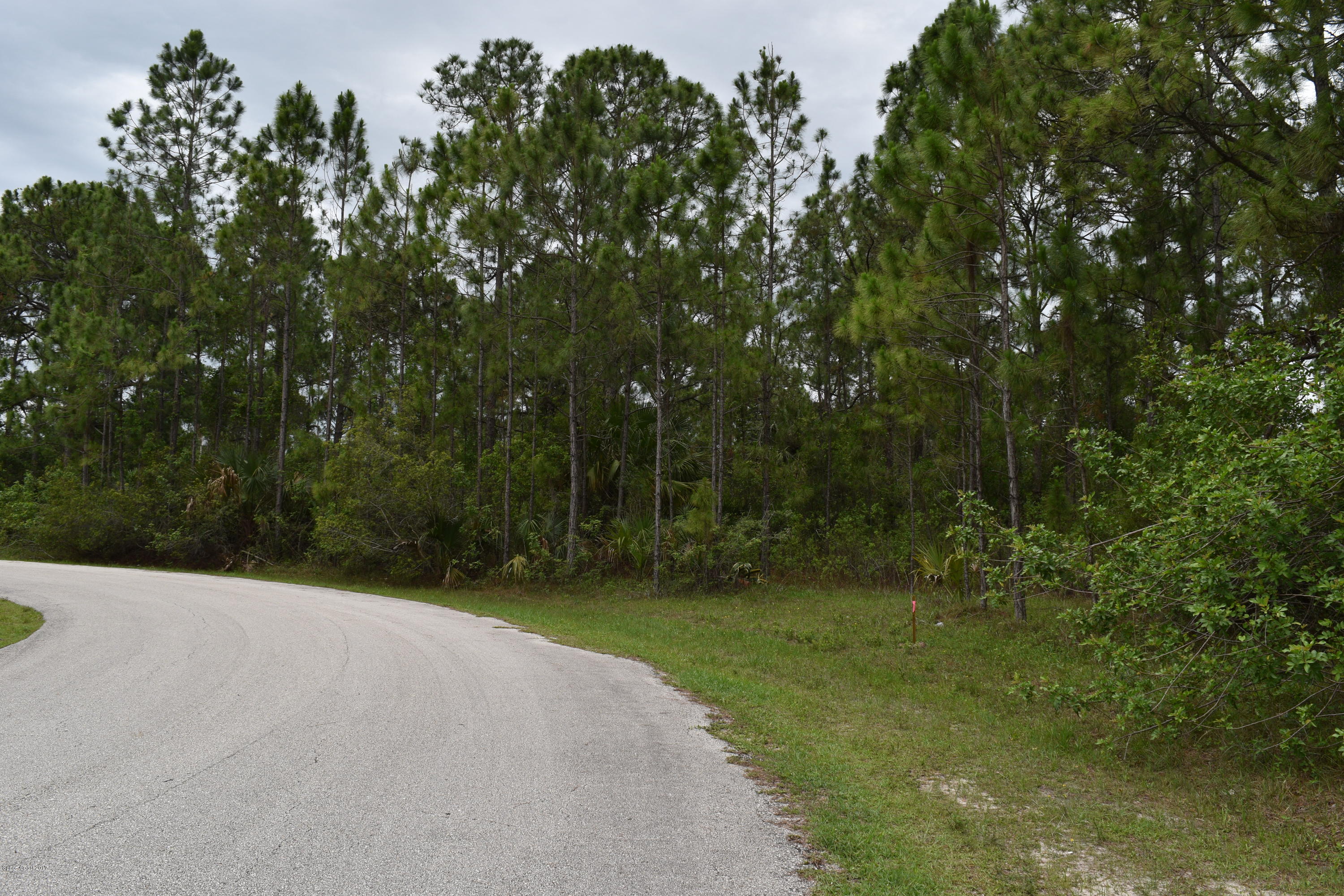 966 Carver Road Southeast Palm Bay, FL 32909 - Photo 3 of 6 Quiet street