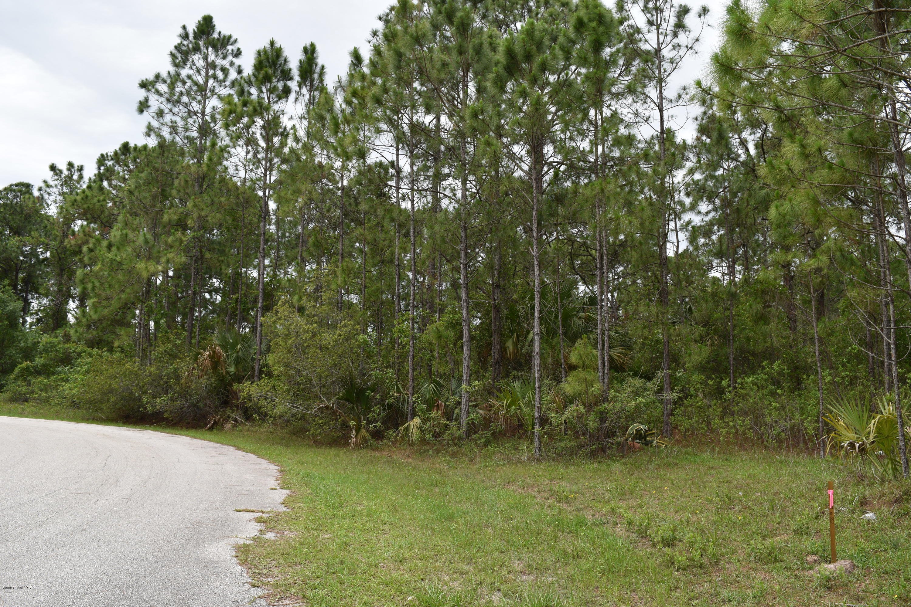 966 Carver Road Southeast Palm Bay, FL 32909 - Photo 4 of 6 Double lot