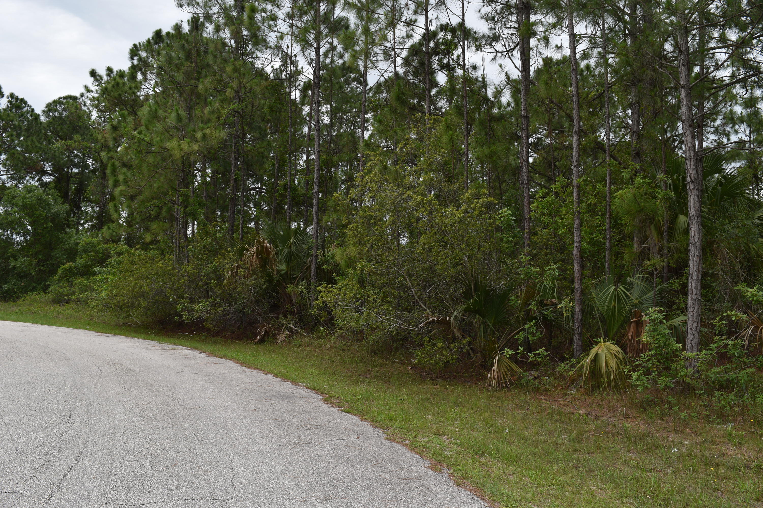 966 Carver Road Southeast Palm Bay, FL 32909 - Photo 5 of 6 Plenty of room for your dream home