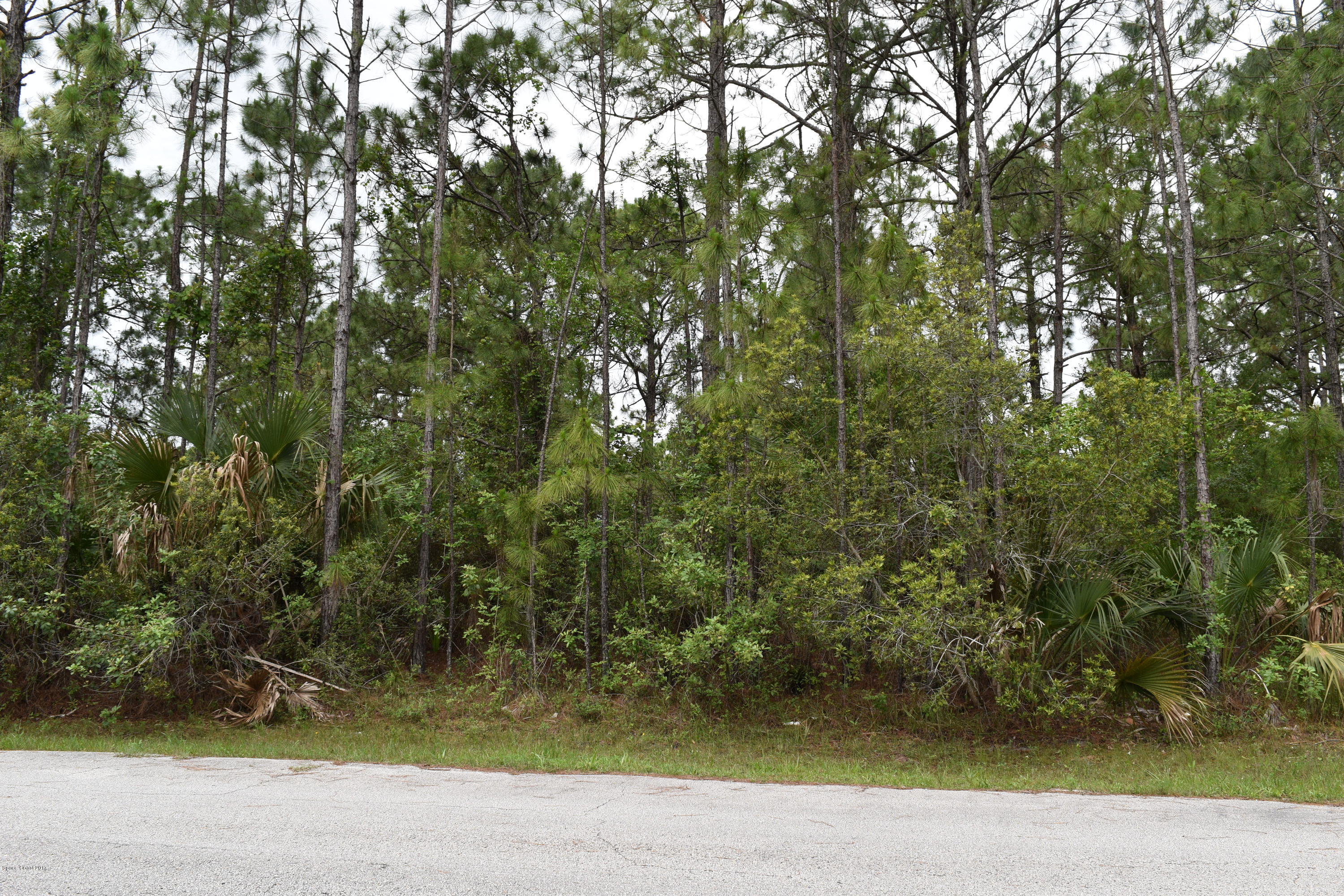 966 Carver Road Southeast Palm Bay, FL 32909 - Photo 6 of 6 DSC_0243