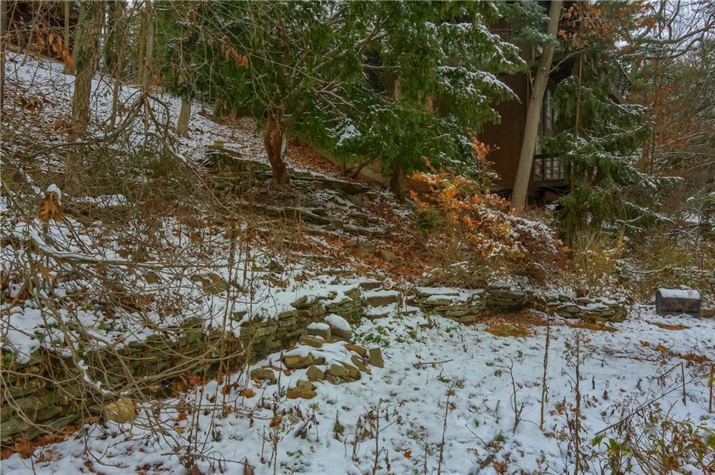 3210 Evergreen Road Pittsburgh, PA 15237 - Photo 13 of 47 a view of a forest with trees