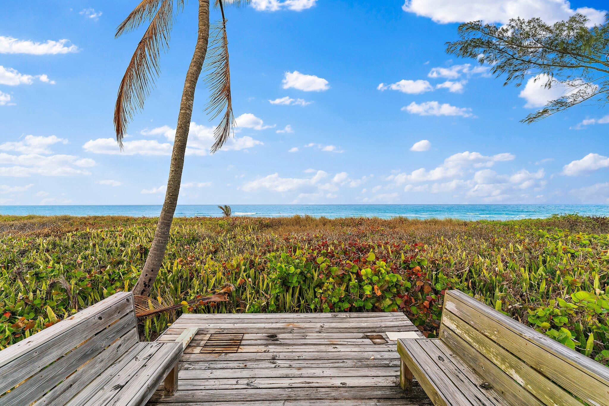 31 North Beach Road Jupiter Island, FL 33455 - Photo 15 of 66 050-31NBeachRd