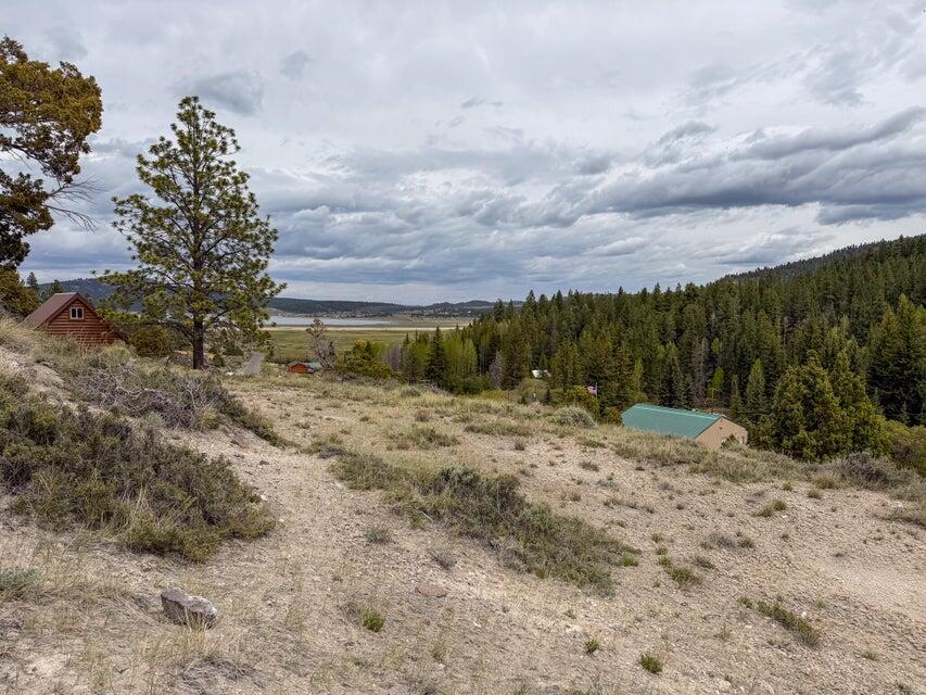 69 Forest Garden Hatch, UT 84735 - Photo 11 of 20 Lot 69 Forest Garden