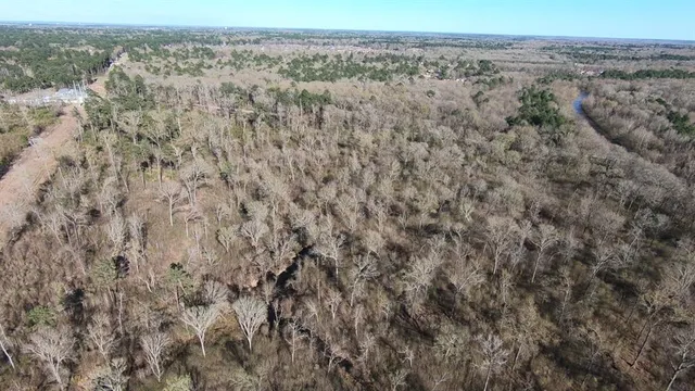 $975,000 | 2903 Williamson Way, Shreveport, LA 71118