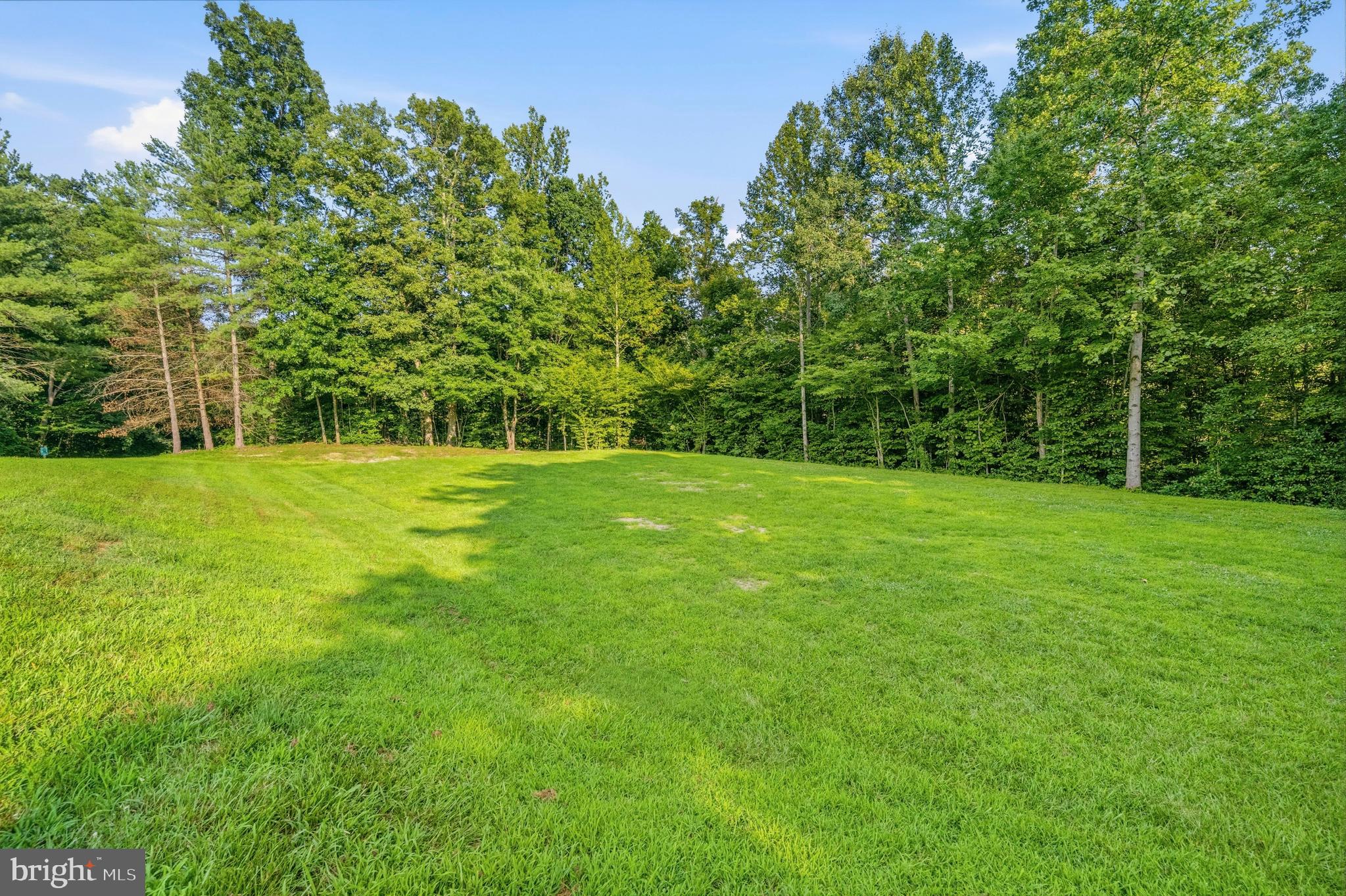 7233 Ashview Drive Springfield, VA 22153 - Photo 43 of 50 Gallery Image 43