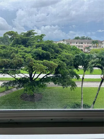 a view of a yard from a window
