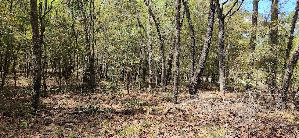 11 Southwest 73rd Loop Dunnellon, FL 34432 - Photo 1 of 1