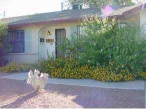 a view of a backyard of the house