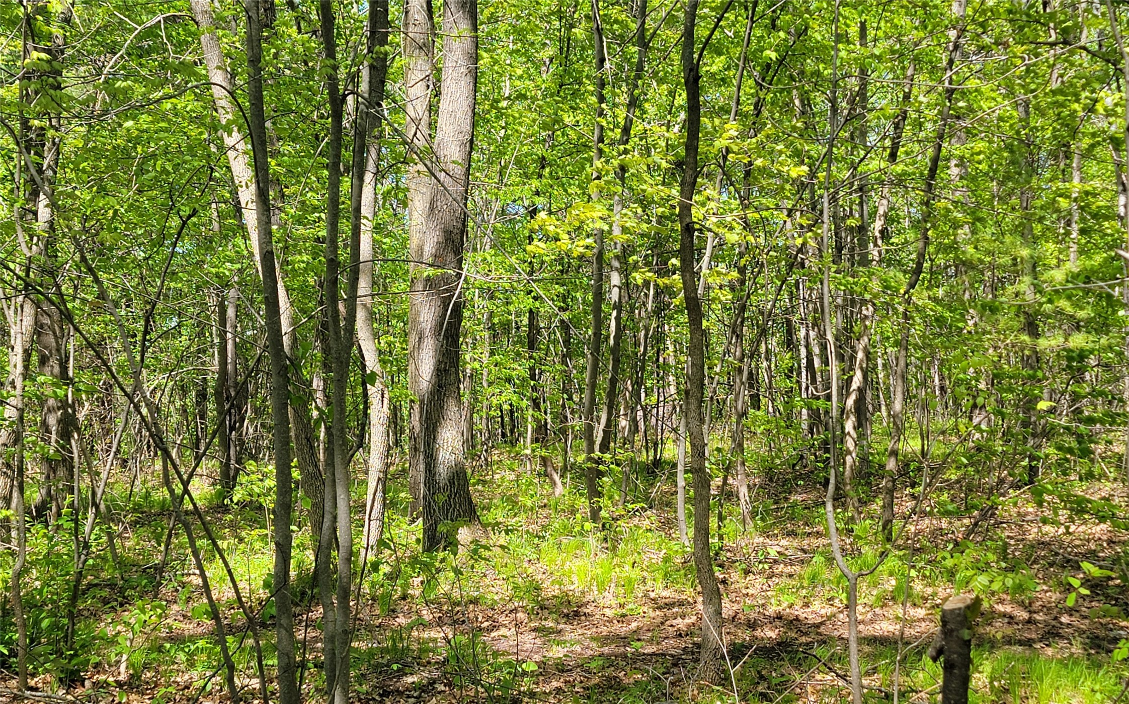 5154 County Road X Webster, WI 54893 - Photo 33 of 34