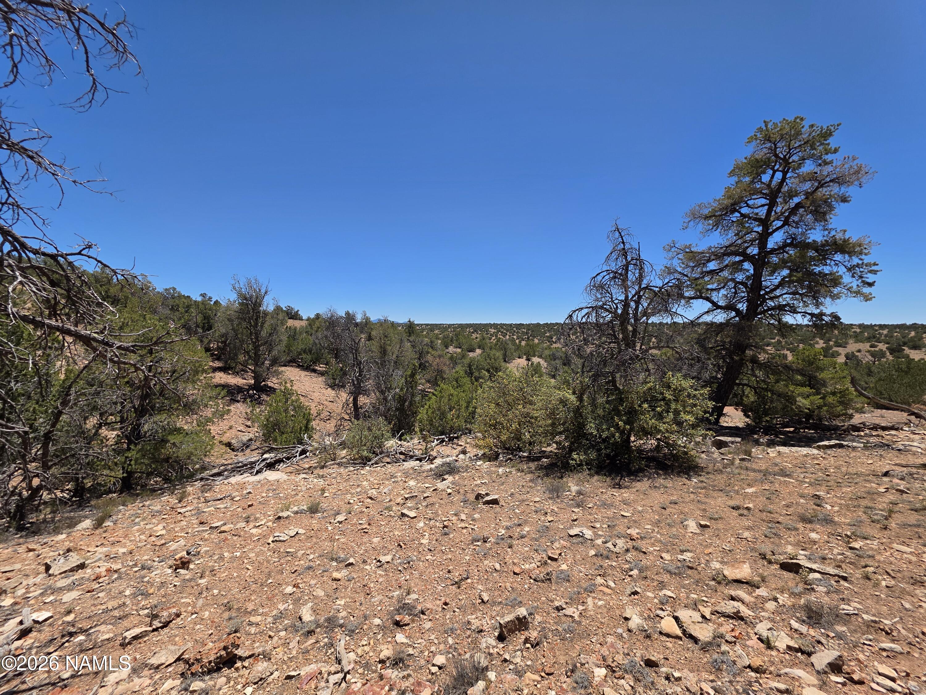 9966 Northstar Road Williams, AZ 86046 - Photo 16 of 37 1000065024