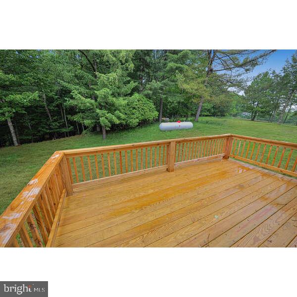 1213 Cash Valley Road Eglon, WV 26716 - Photo 4 of 24