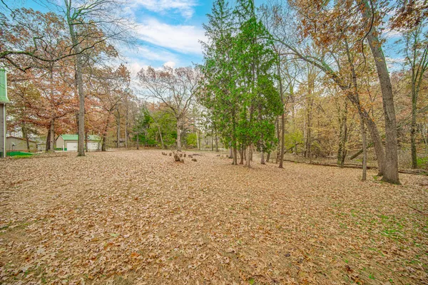 a view of road with trees