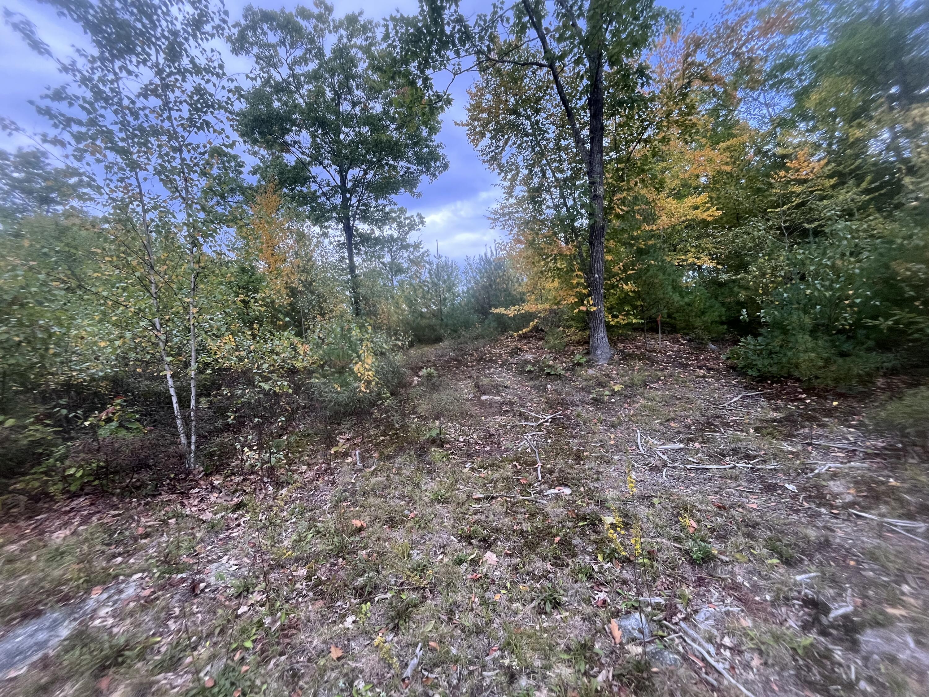 Lot 41 Turtle Trail Alfred, ME 04002 - Photo 3 of 23 IMG_5807