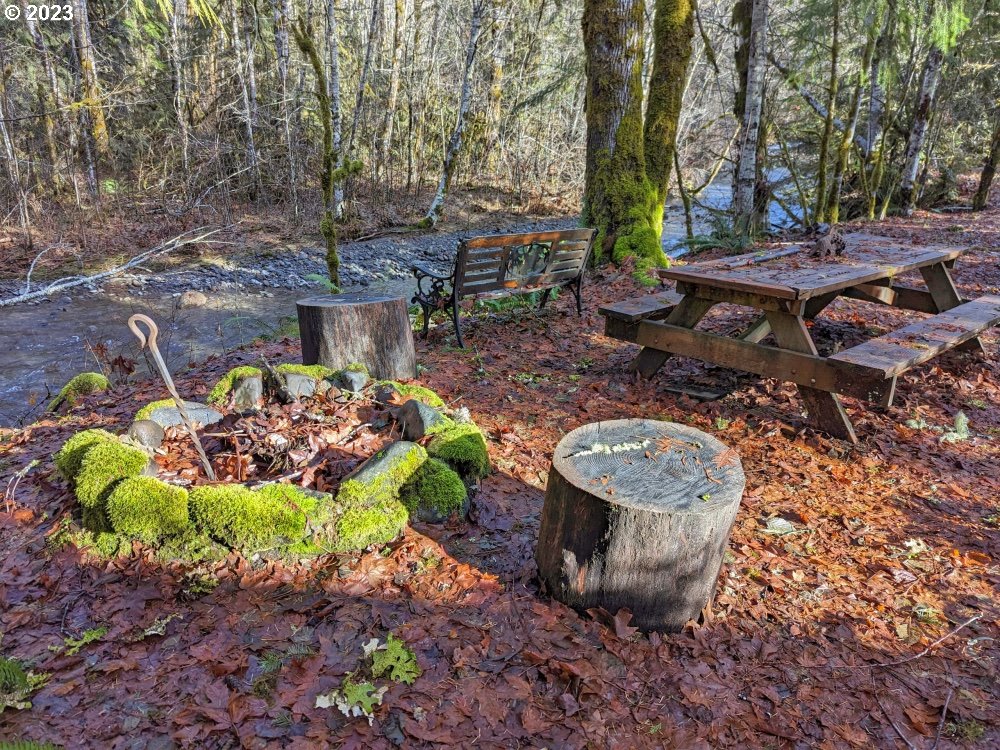 72769 Snowdon Road Rhododendron, OR 97049 - Photo 33 of 48 a view of a backyard with plants and chairs
