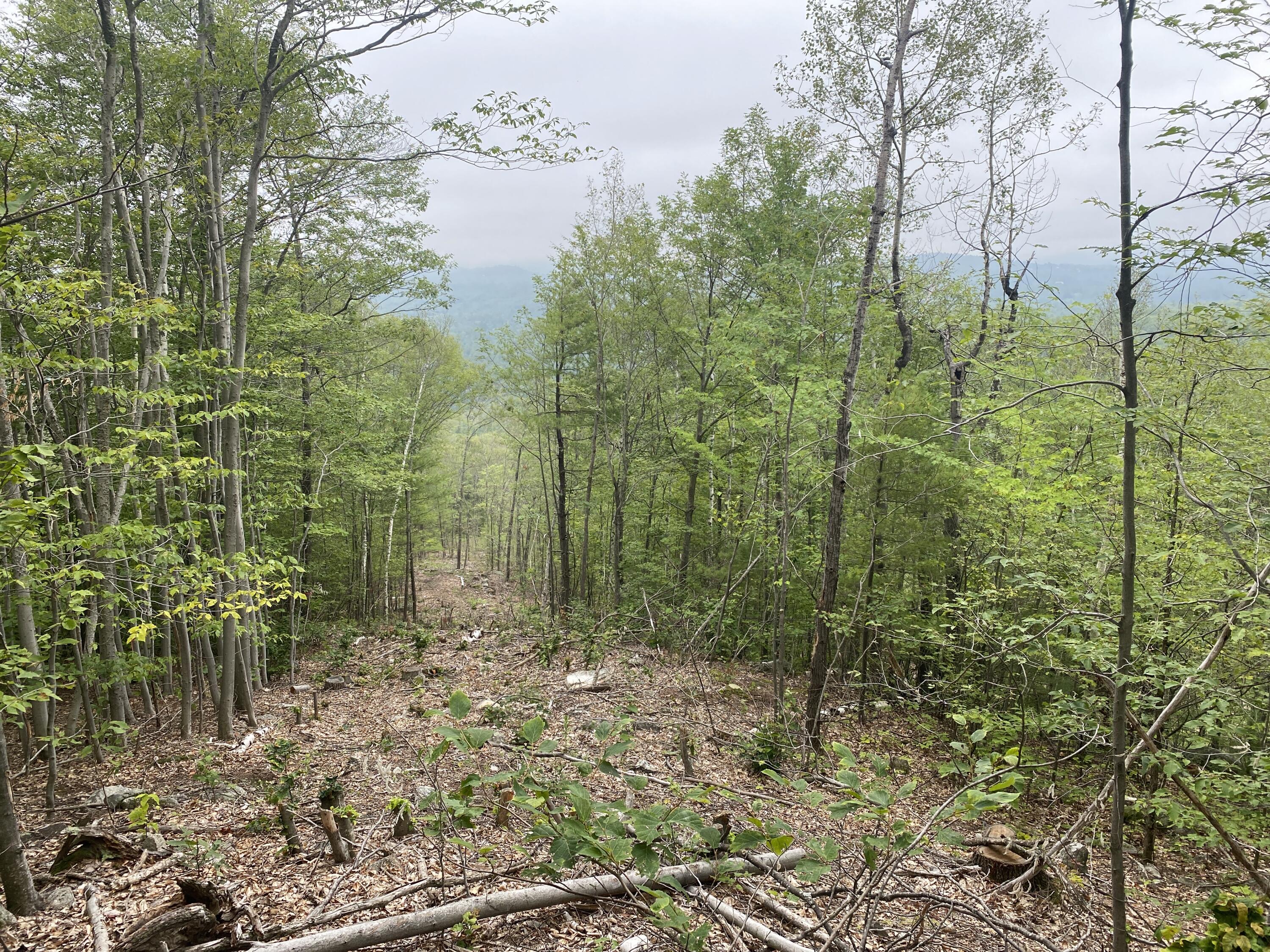 19 Off Peary Mountain Road Brownfield, ME 04010 - Photo 21 of 26 IMG_5763