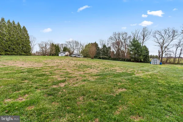a view of a field with an trees