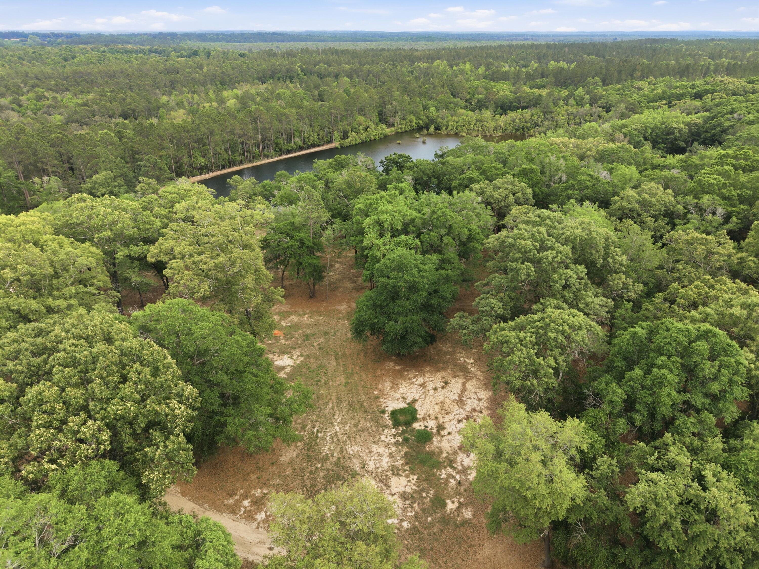 261 Wilkerson Road DeFuniak Springs, FL 32433 - Photo 6 of 76 DJI_20260429155502_0081_D