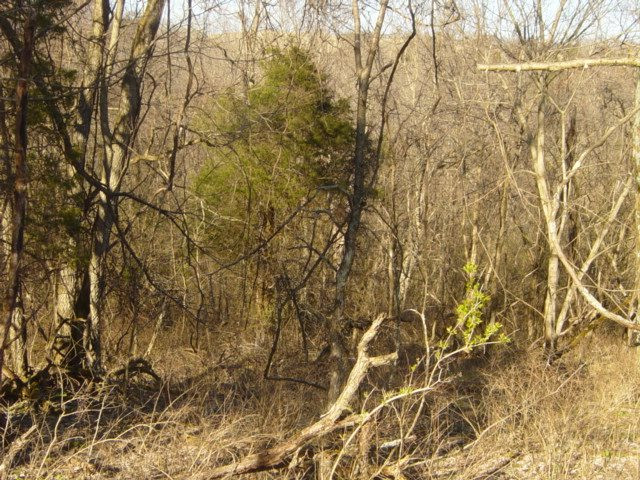 1339 Chaney Road Brooksville, KY 41004 - Photo 12 of 18 Gallery Image 12
