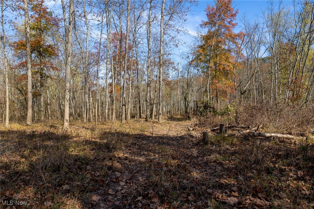 69931 Leeper Road Cambridge, OH 43725 - Photo 14 of 25 Gallery Image 14