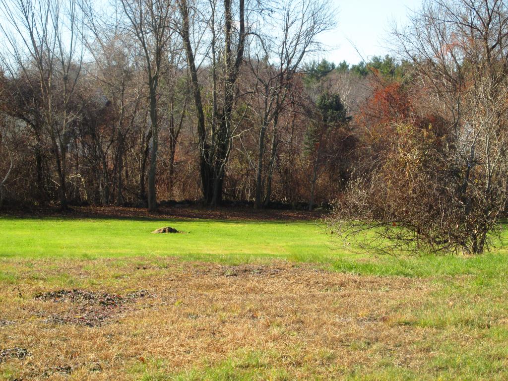 16 Adams Pond Road Derry, NH 03038 - Photo 7 of 25