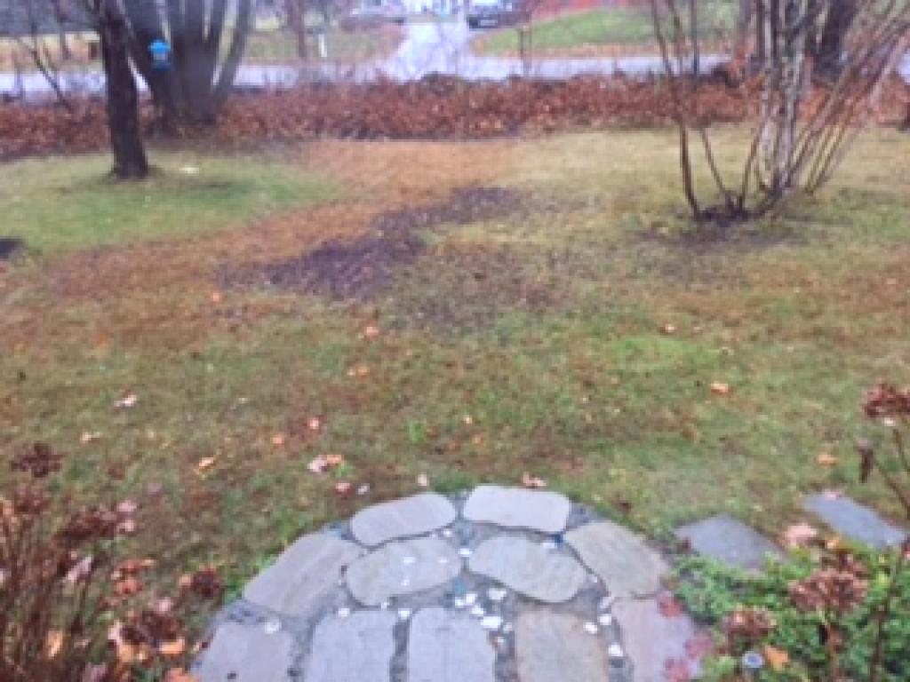 16 Adams Pond Road Derry, NH 03038 - Photo 8 of 25