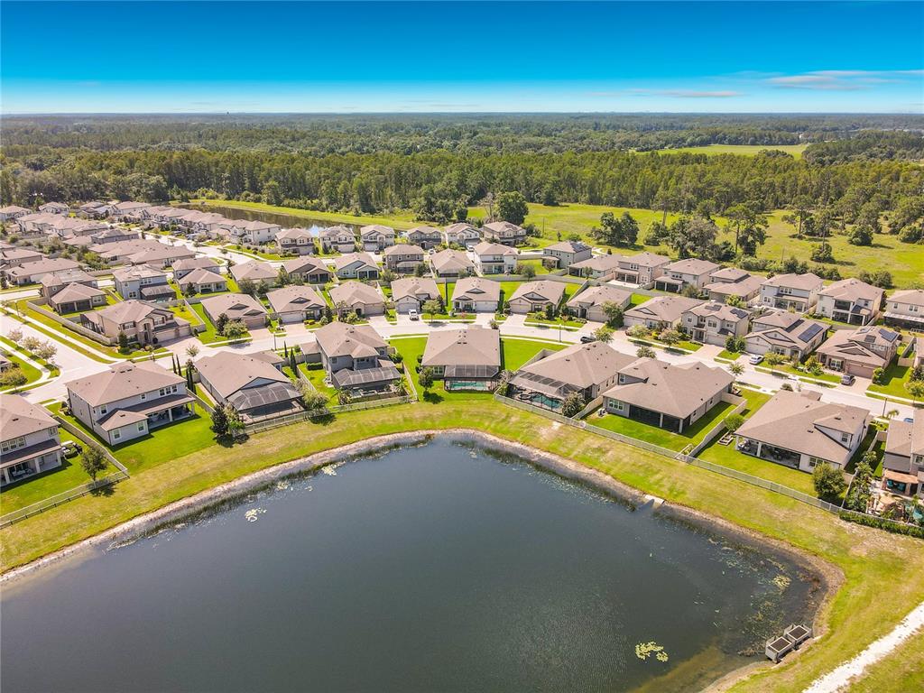 19563 Leonard Road Lutz, FL 33558 - Photo 46 of 49
