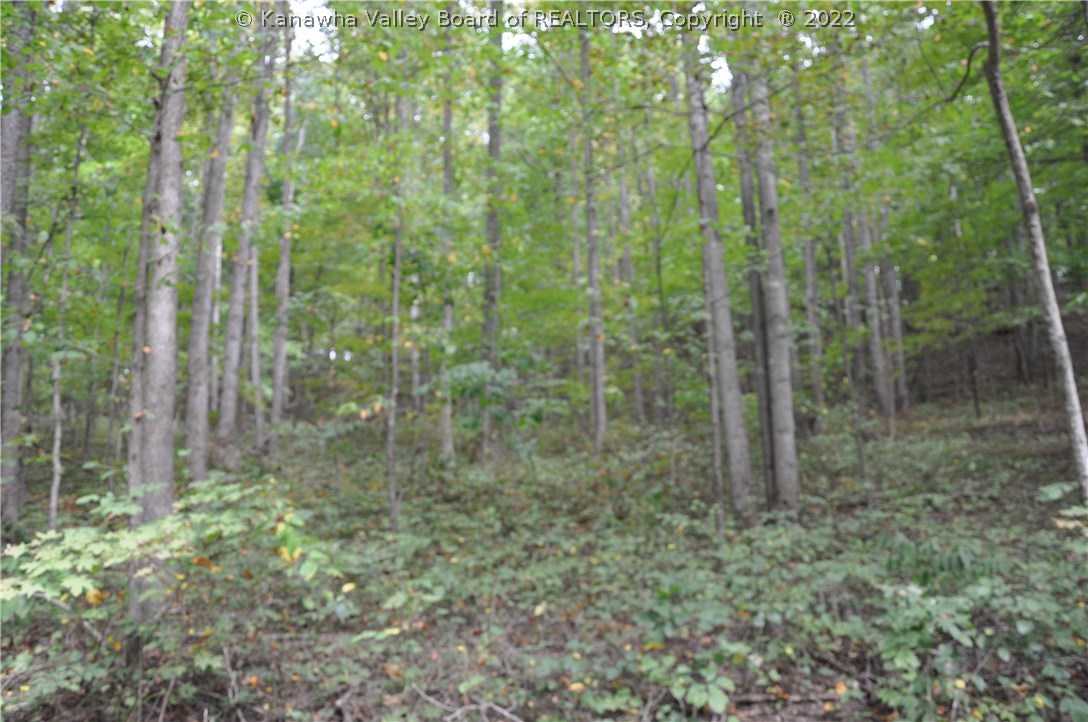 0 Fuquays Creek Road Sod, WV 25564 - Photo 9 of 21 Gallery Image 9