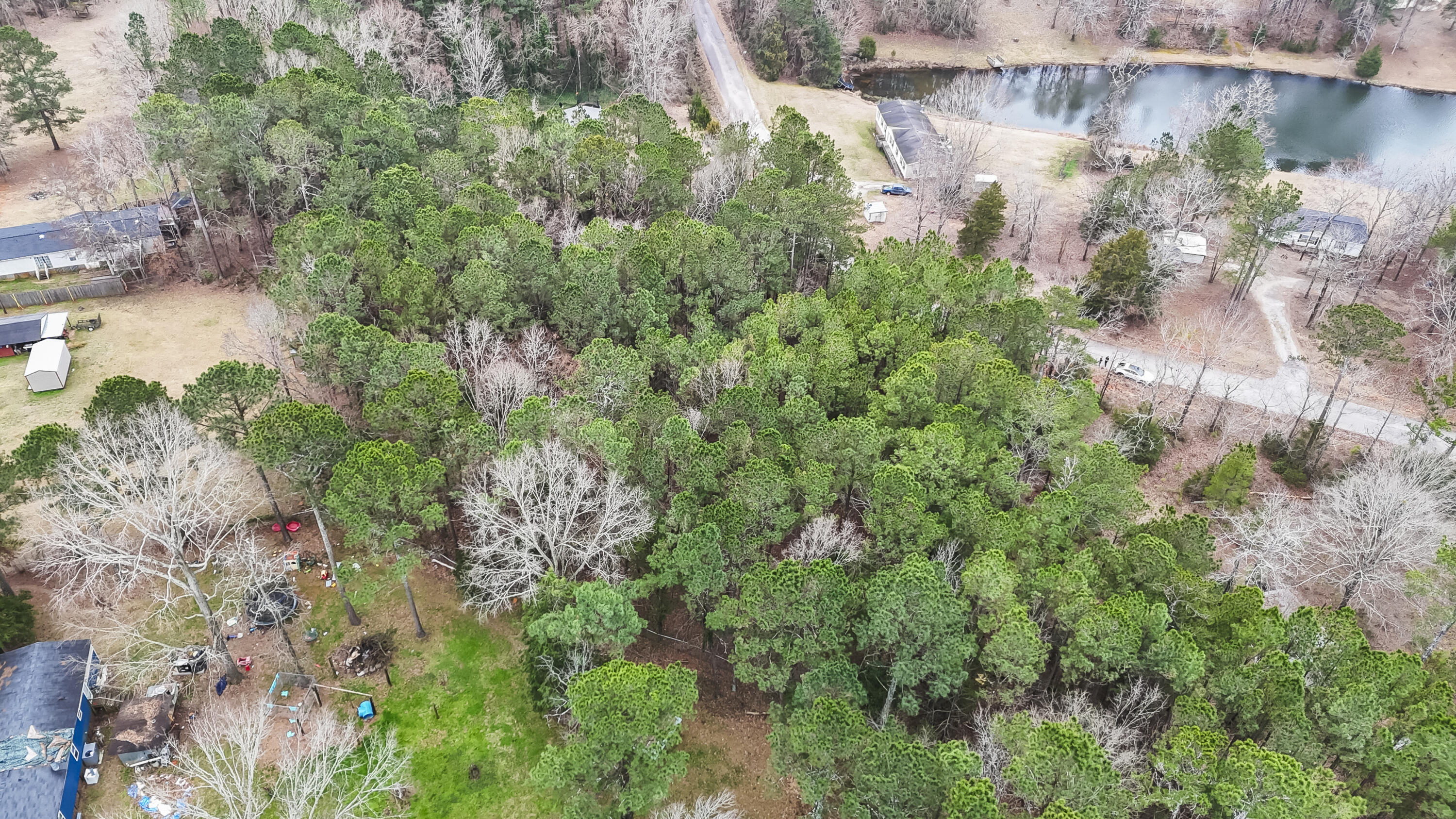 0 Twin Ponds Road Newberry, SC 29108 - Photo 10 of 19