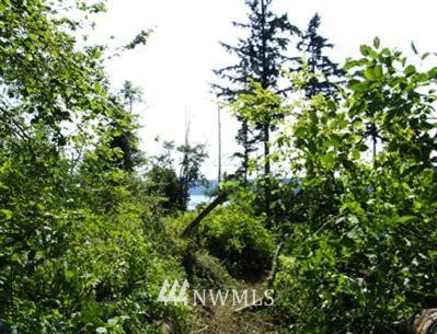 -xxx Southwest Caster Road Vashon, WA 98070 - Photo 1 of 1 Gallery Image 1