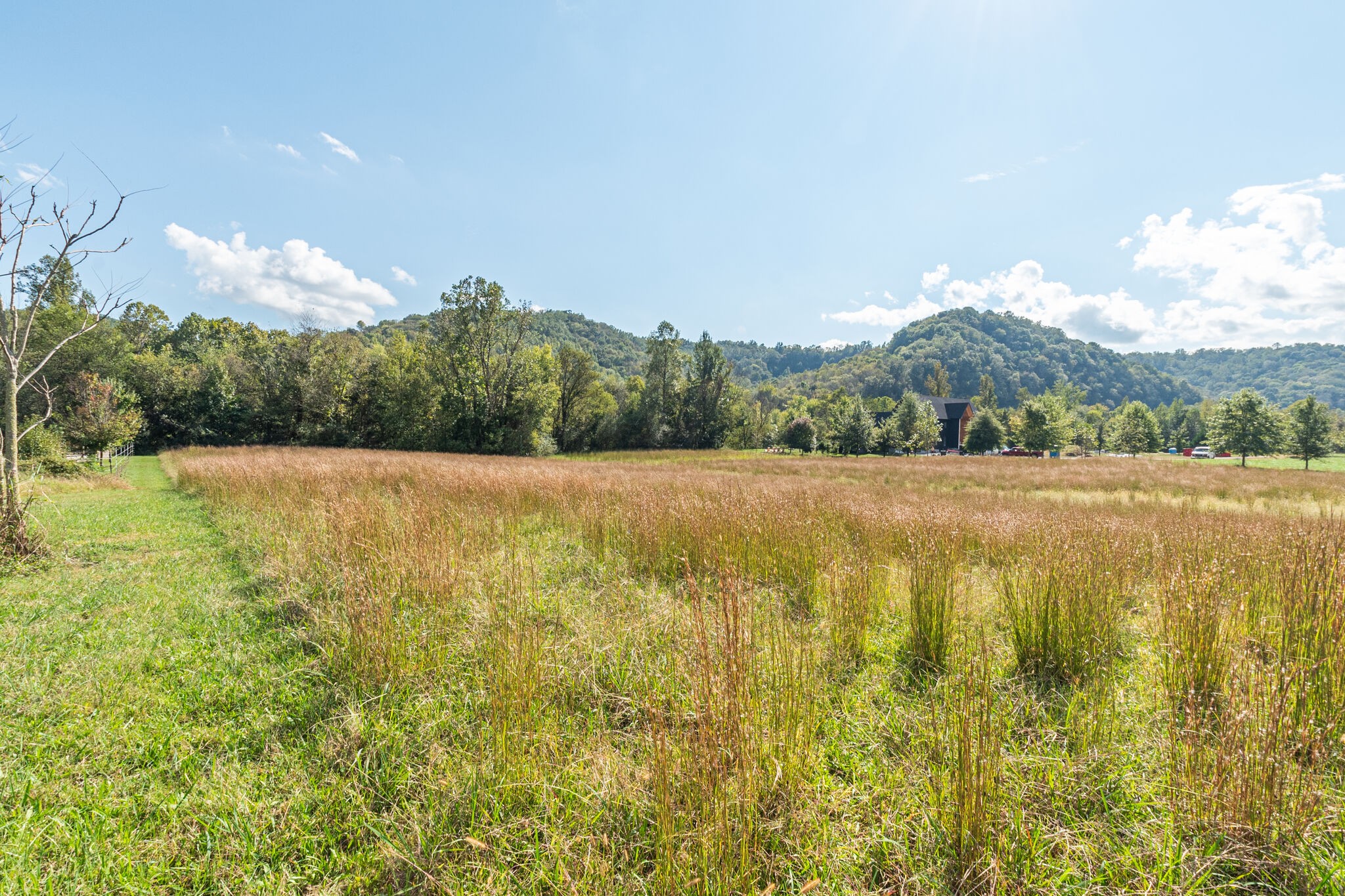 0 Judd Road Lancaster, TN 38569 - Photo 4 of 10 Gallery Image 4
