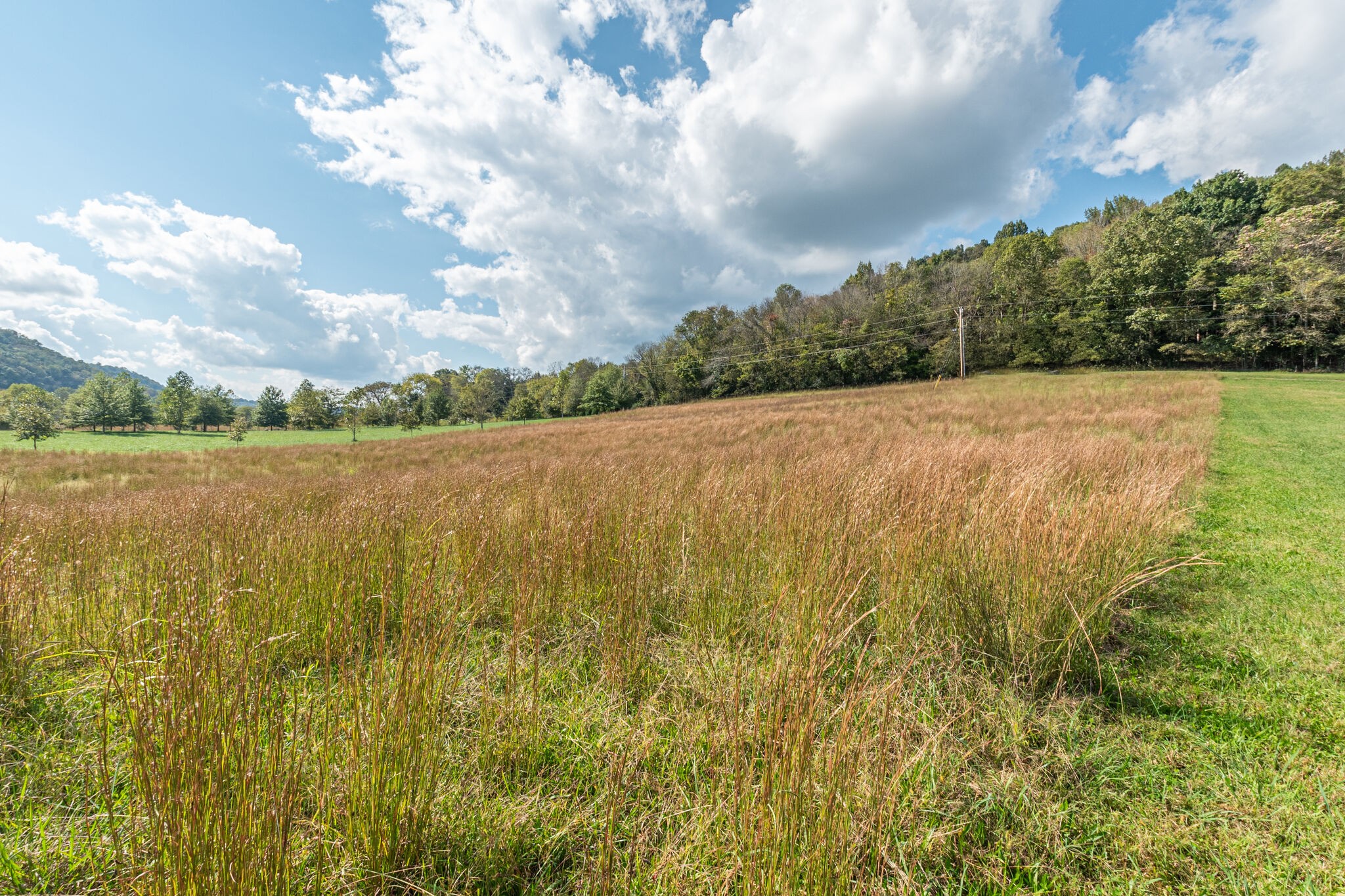 0 Judd Road Lancaster, TN 38569 - Photo 5 of 10 Gallery Image 5